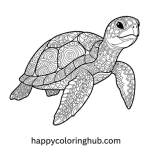 Coloring patterns