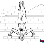 Spiderman adult coloring book