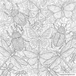 Adult coloring pages jungle