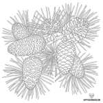 Adult coloring winter