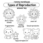©tommy morehouse types of reproduction coloring page answer key