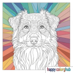 Australian shepherd realistic coloring page