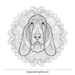 Basset hound long ears coloring sheet
