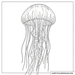 Black and white coloring page jellyfish