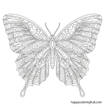 Butterfly color drawing