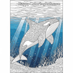Color page killer whale