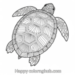 Colour the picture worksheet