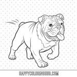 English bulldog wrinkly coloring sheet