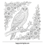 Hawk eye coloring page