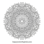 Johanna basford coloring books