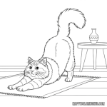 Ragdoll cat relaxing coloring sheet