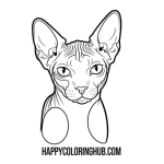 Sphynx cat unique coloring sheet