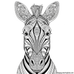 Zebra coloring page black and white