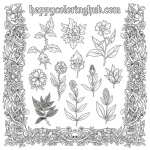 Gothic herbs coloring page for seniors